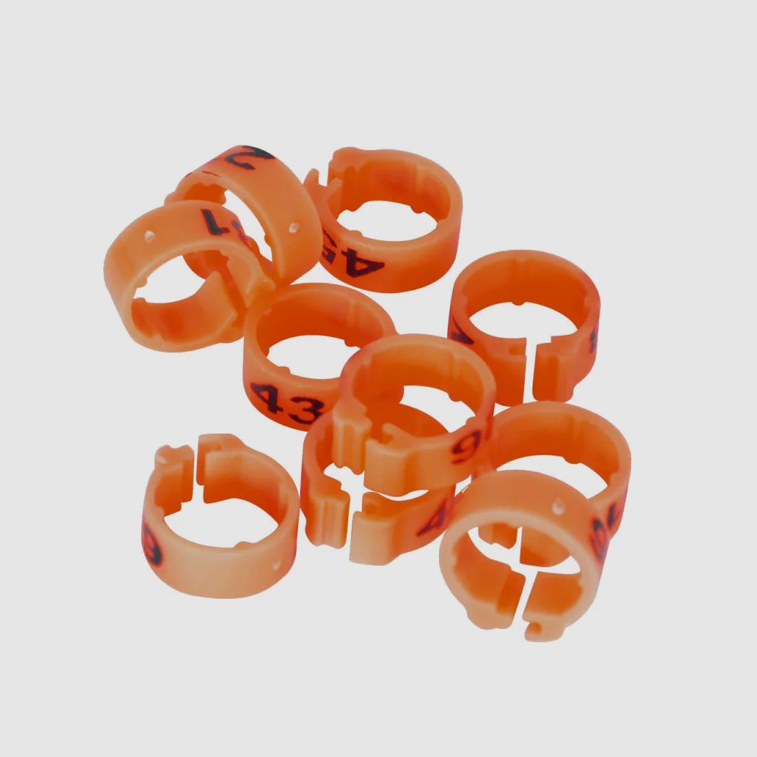 Spezial-Pigeon-Ringe Laserbeschriftung unvergänglich nummeriert 1-25 Orange, Bild 1 von 3