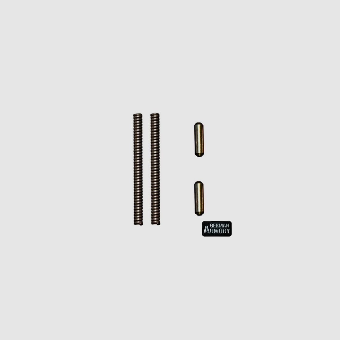 Ar-15 Takedow Pin Retainer und Feder Spring AR15 und M16 Lower M4 MR223 HK SIG DPMS Schmeisser