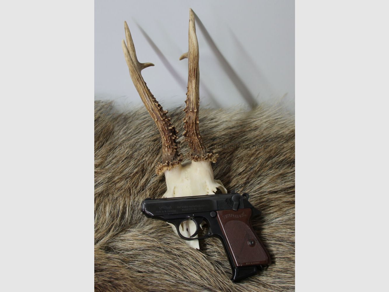 Walther PPK Kaliber .22 lr