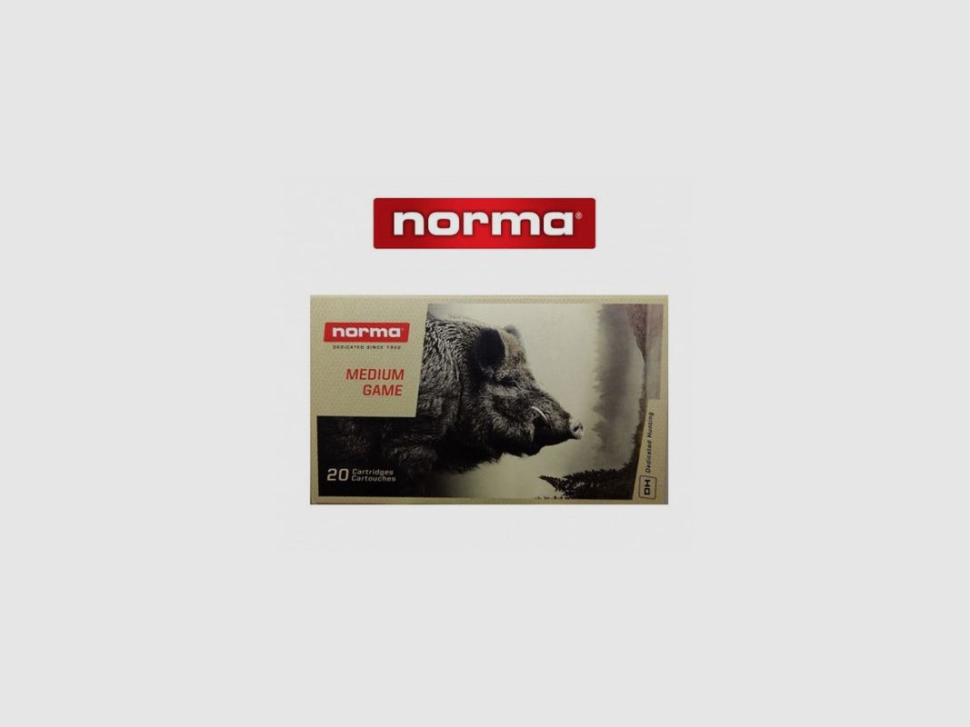 Norma 30-06 Kunststoffspitze 180gr