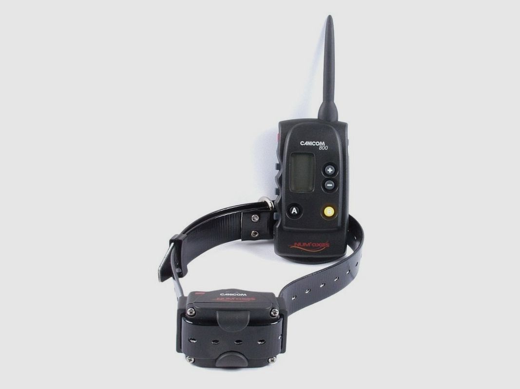 CANICOM 800, immagine 2 di 3