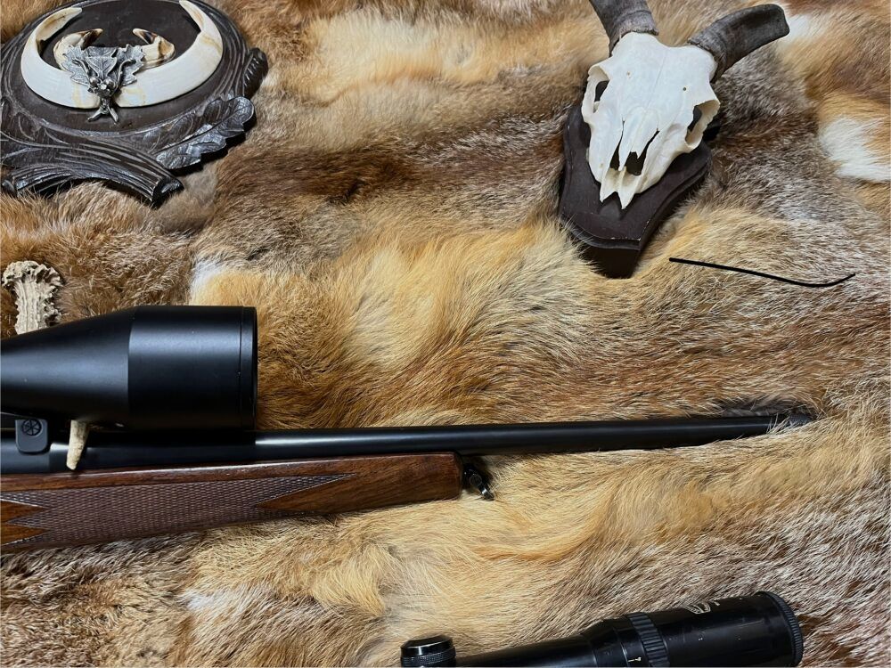 Blaser R93