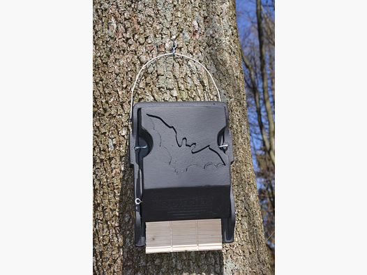 Schwegler bat flat box 3FF with inspection hatch