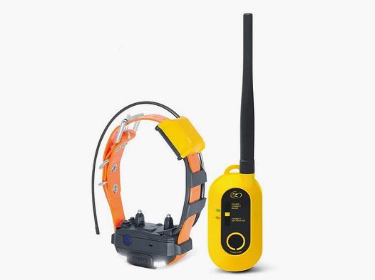 Dogtra Pathfinder