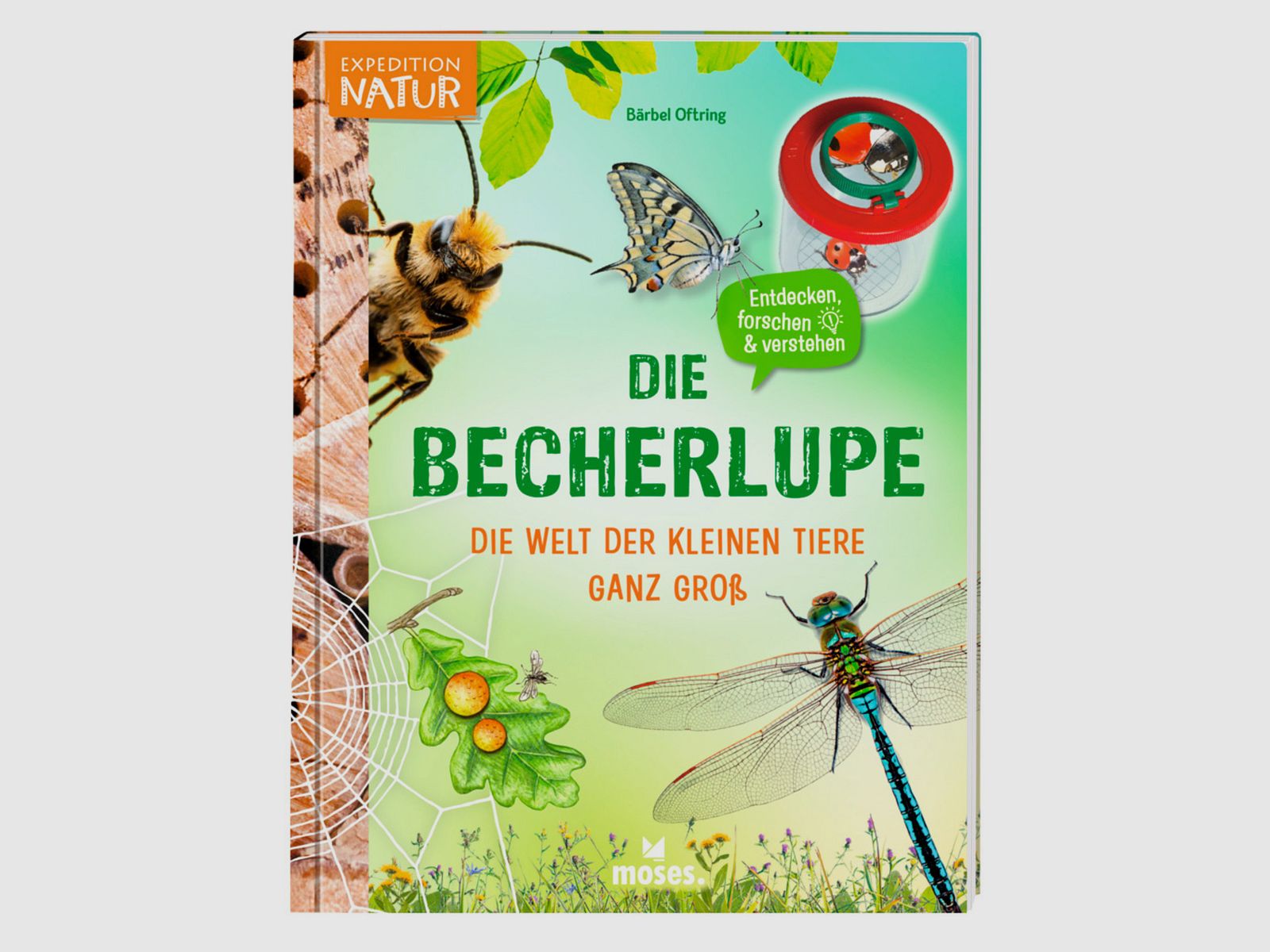 Die Becherlupe Die Welt der kleinen Tiere ganz gro