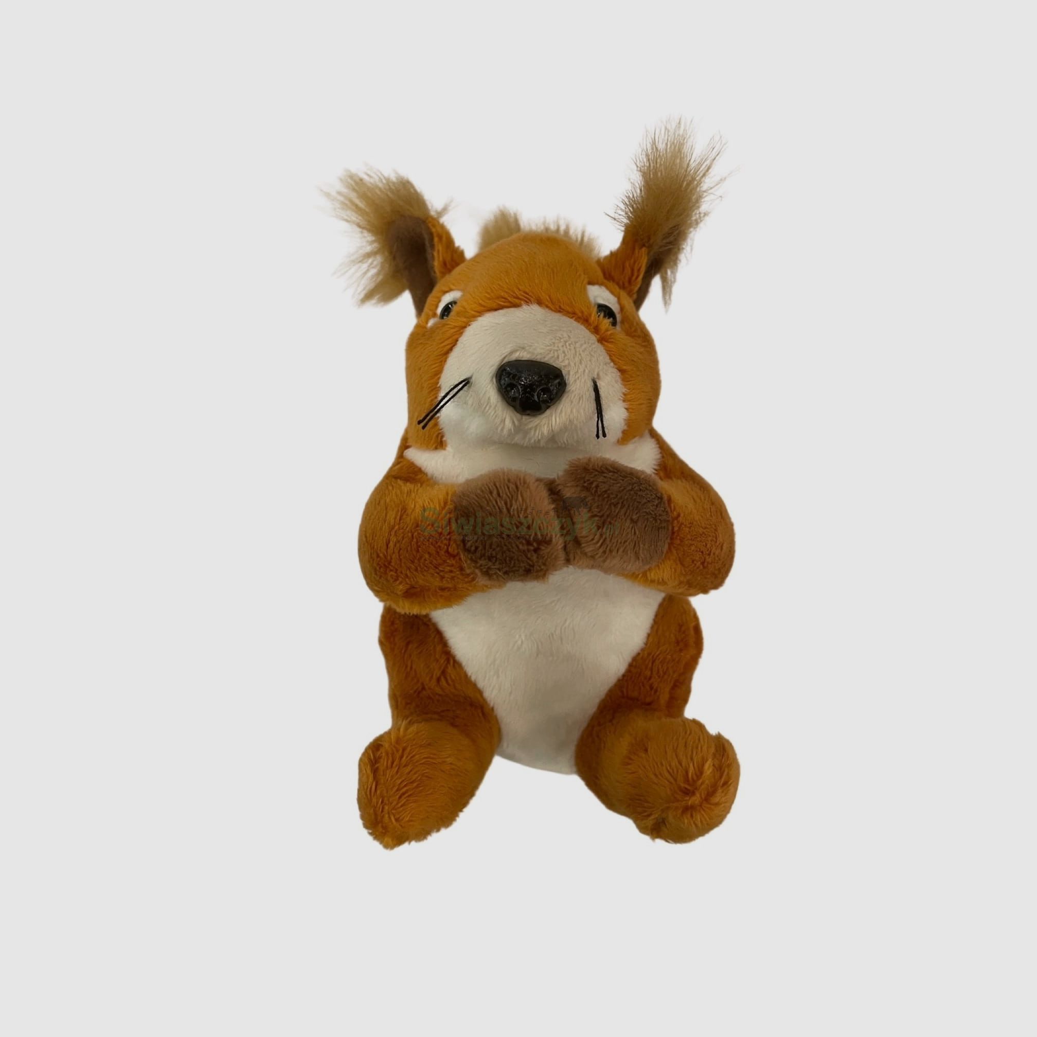 Mascotte écureuil, image 1 sur 2
