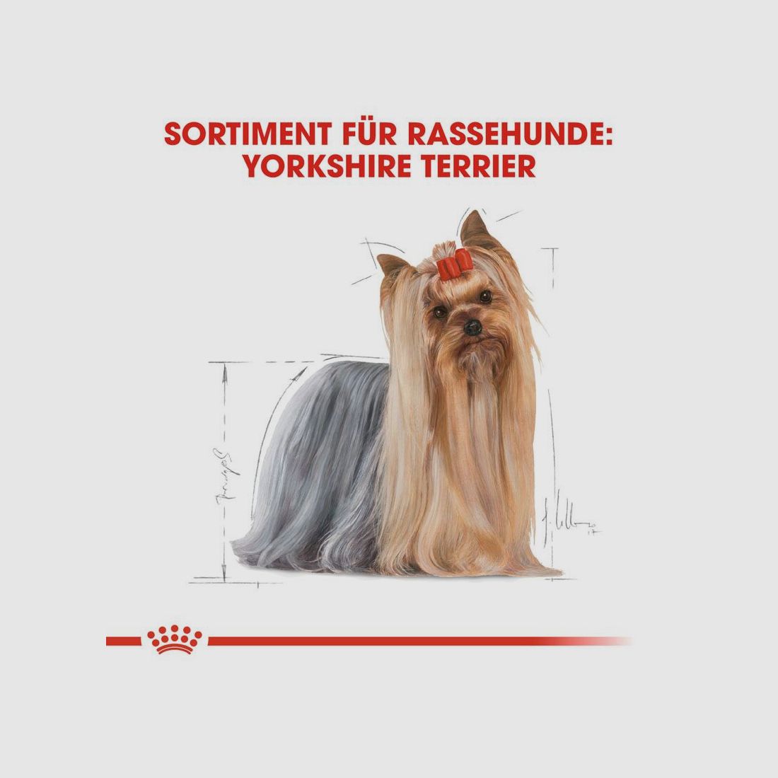 ROYAL CANIN Yorkshire Terrier Trockenfutter Adult