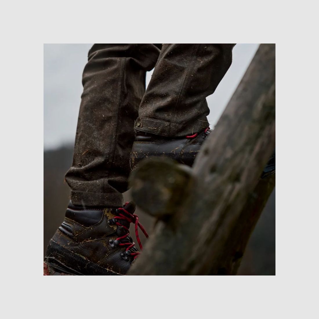 Härkila D-Pants Aspire HWS | hunting green/shadow brown, image 12 of 18