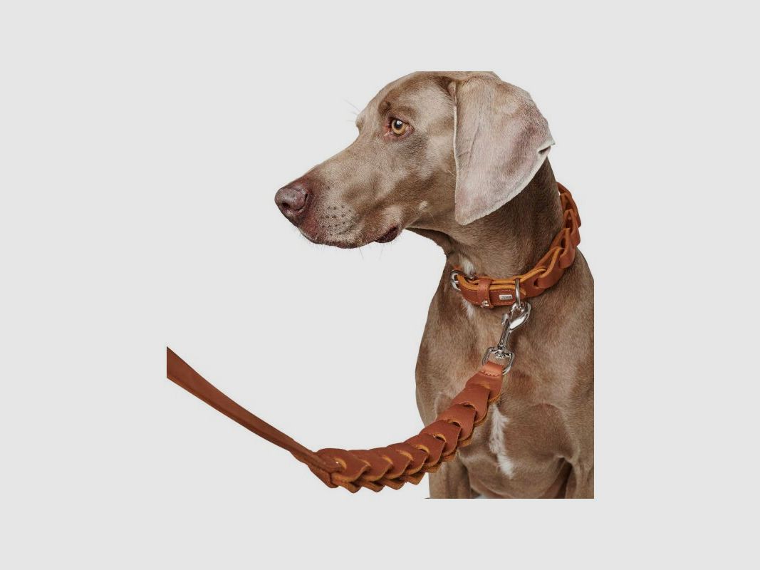 Hunter Führleine Solid Education Chain L 120 cm; B 2,0 cm
