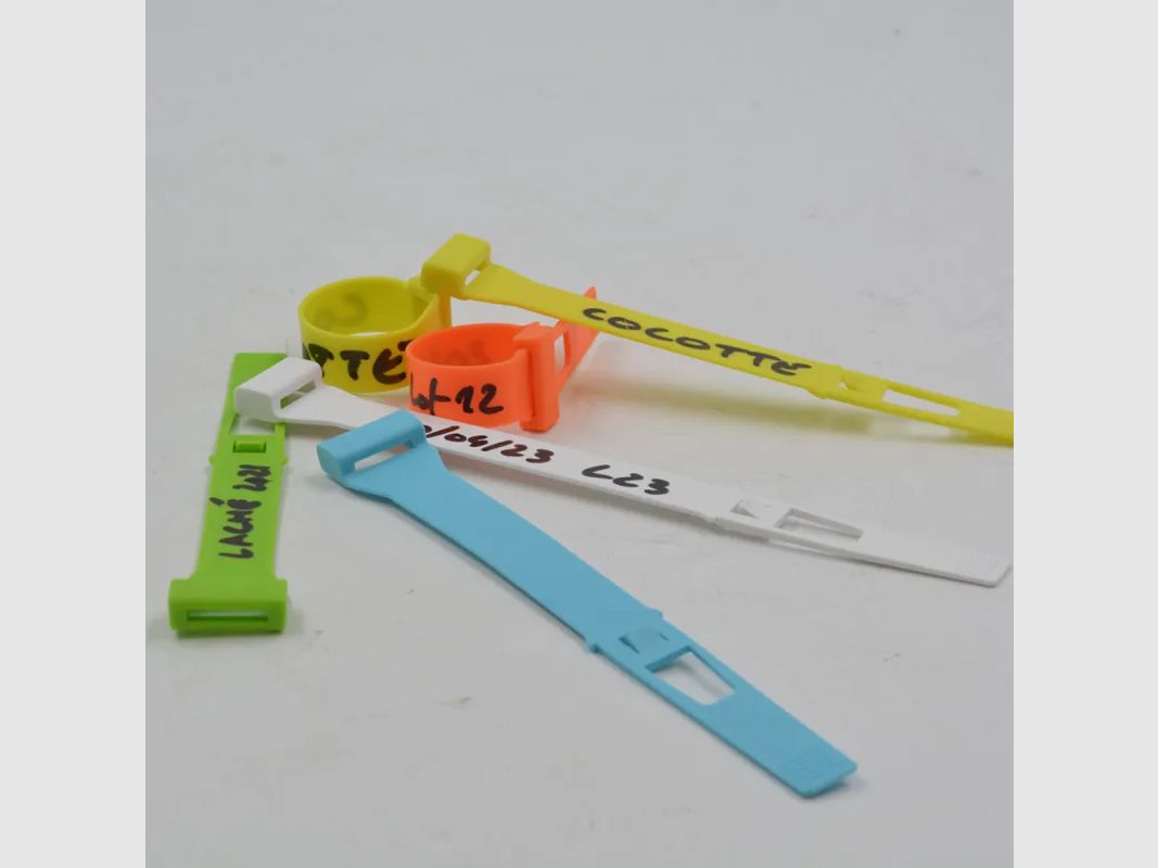10 Bagues E-Z Seal Tag Ø 20 mm, image 4 sur 5