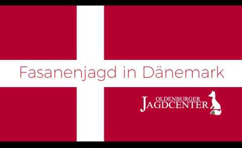 Fasanenjagd in Dänemark - Oldenburger Jagdcenter