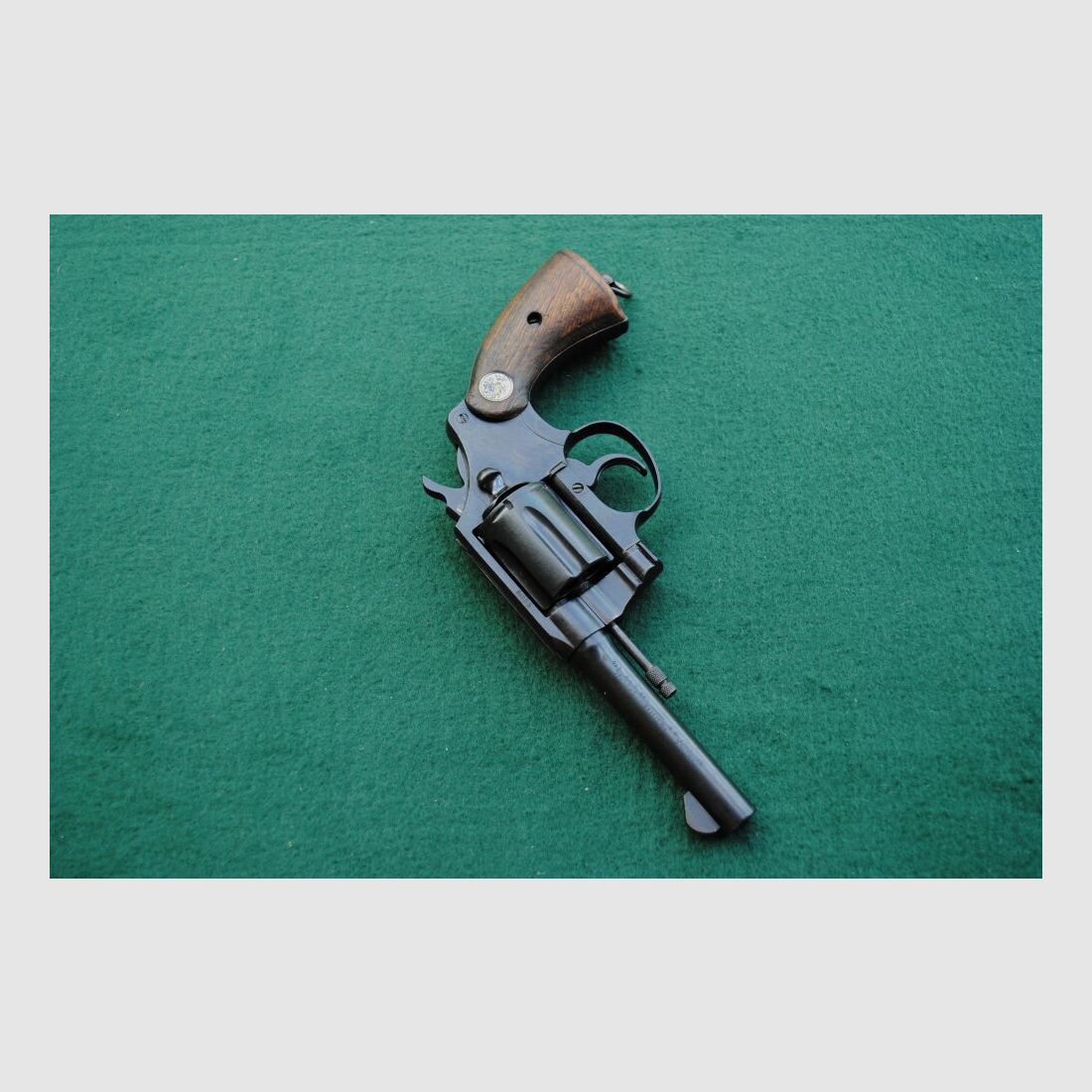 Colt Police Positive Special, Royal Hong Kong Police