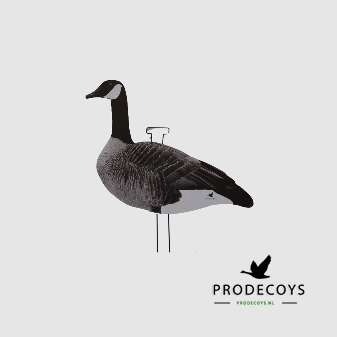 ProDecoys Kanadagans-Silhouetten-Lockvögel (Set mit 12 Stück), Bild 2 von 4