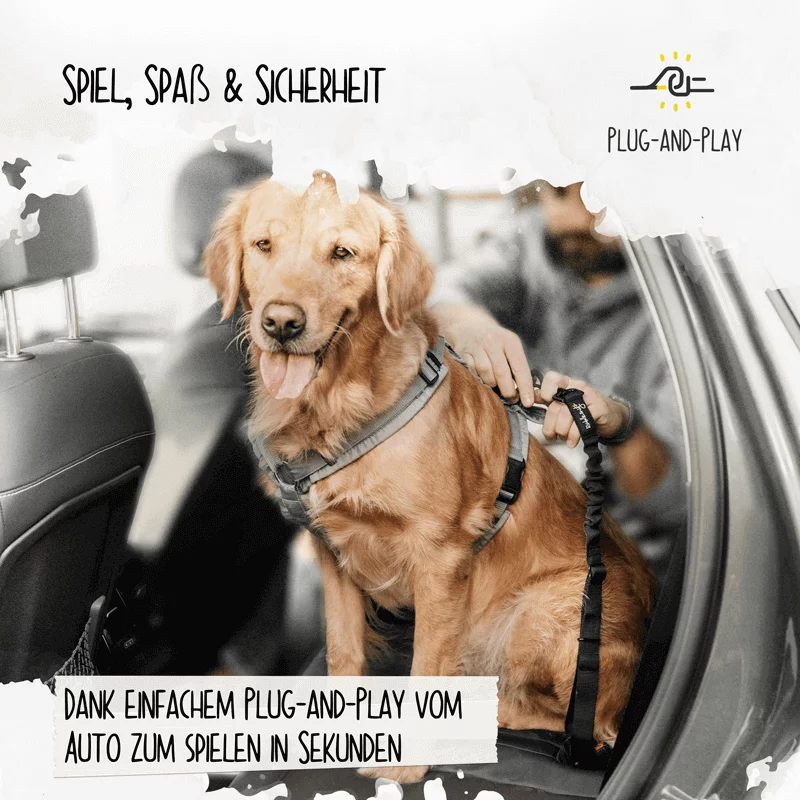 Ceinture de sécurité pour chiens Pack Leader, image 5 sur 6