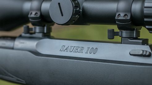 Sauer 100