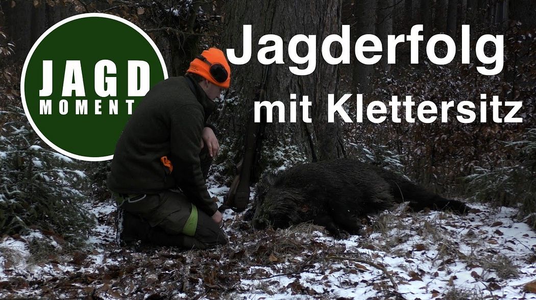 JagdMomente | Folge 11 | Jagderfolg mit Klettersitz | JagenNRW