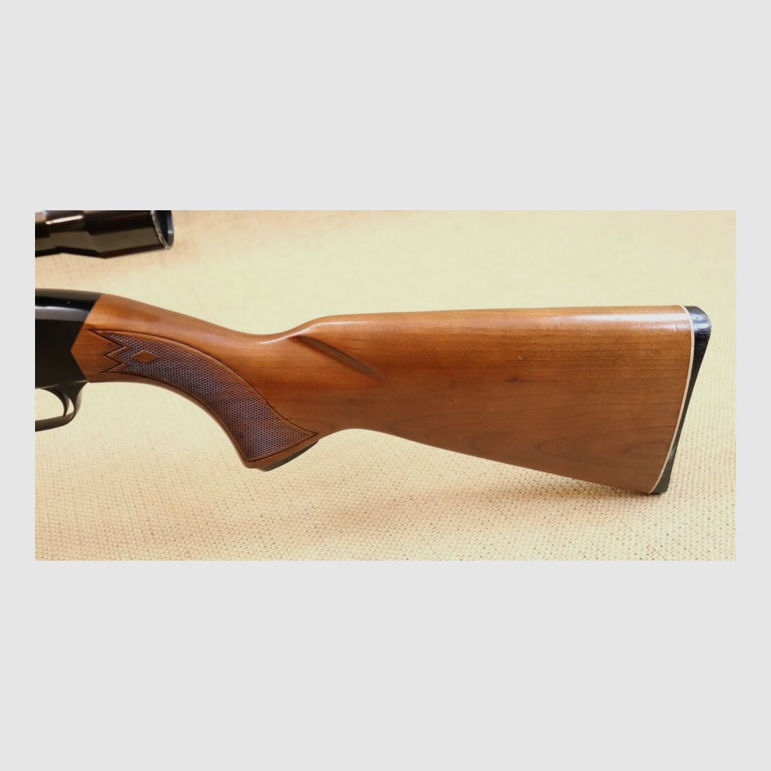 Fucile semiautomatico Winchester 290 .22lr