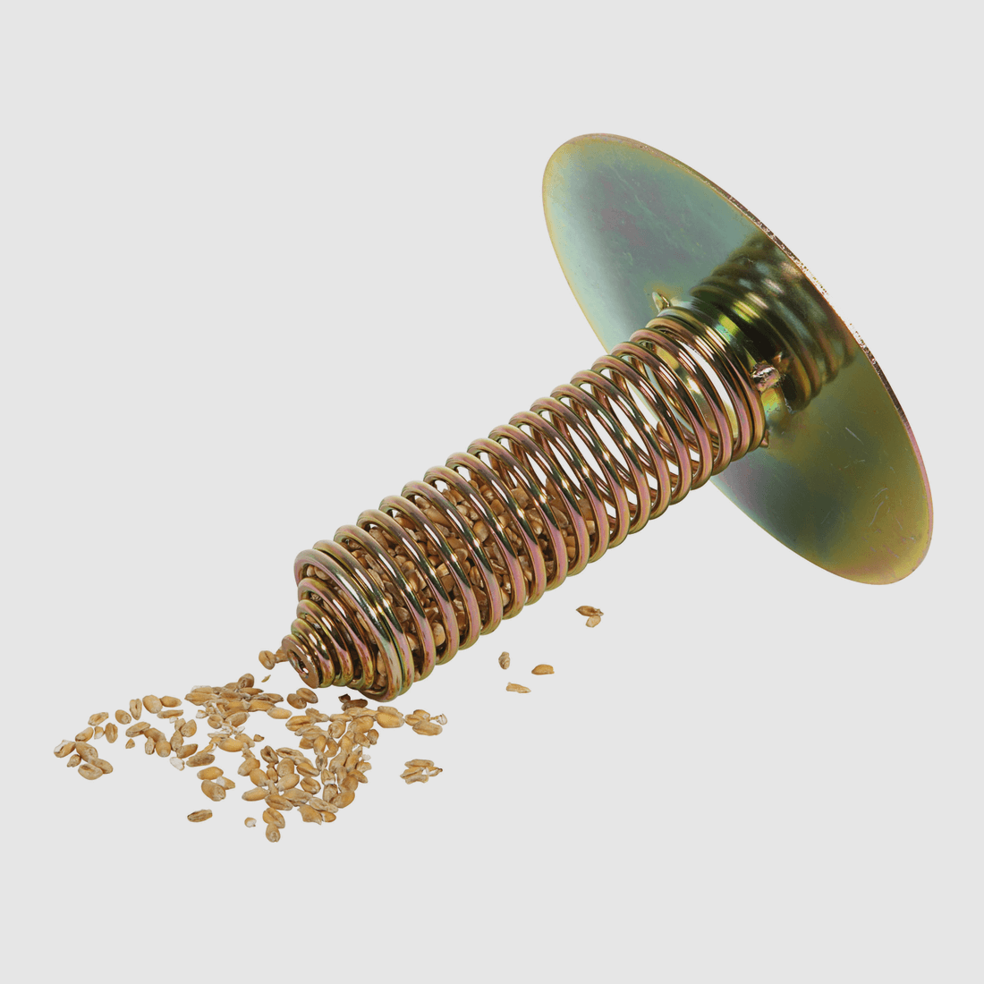 Feed spiral for grain