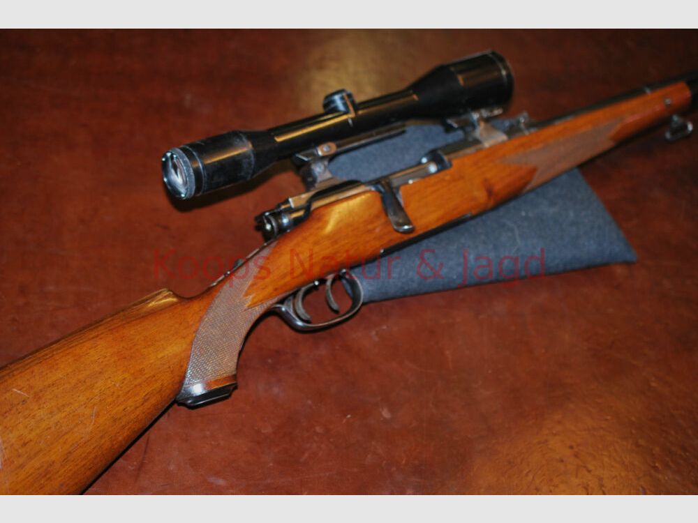 Steyr GK