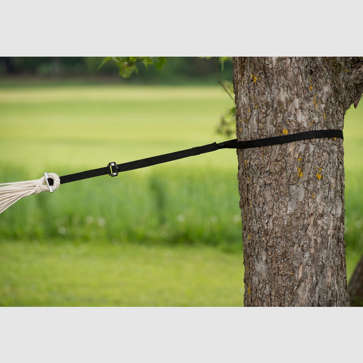 Amazonas T-Strap