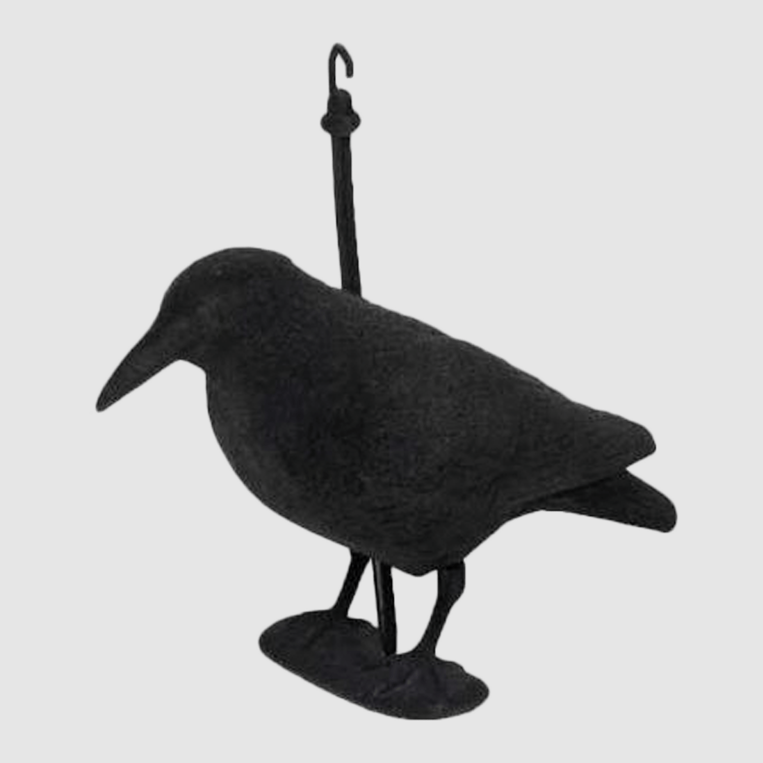 Corbeau feutré