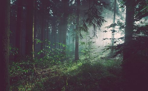 Warmer Begleiter für kalte Tage: die Heizweste