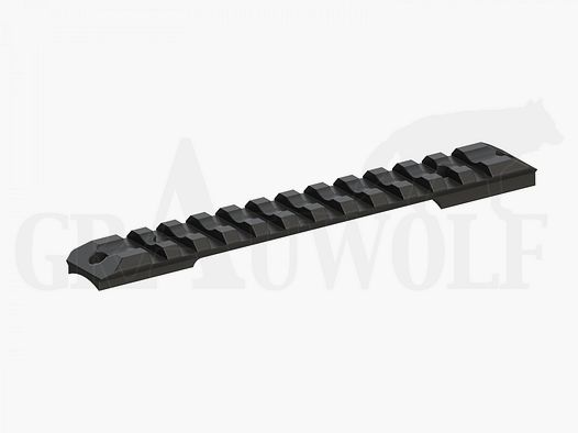 Rail Picatinny en aluminium Recknagel Sauer 202 standard BH 6,5 mm
