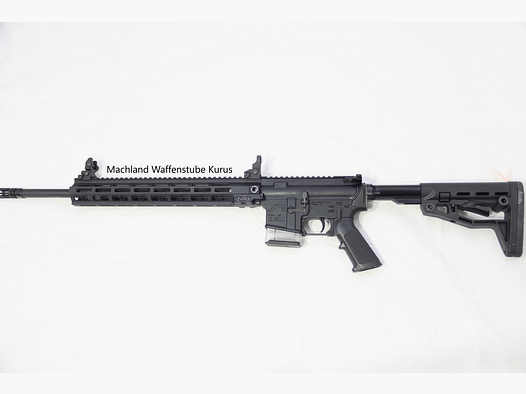 Limex AR15 A4 DI Sondermodell