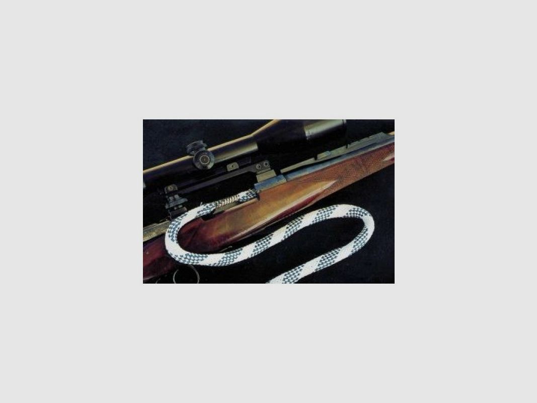 Canicom Sistema di pulizia per pistola Bore Snake, immagine 1 di 2