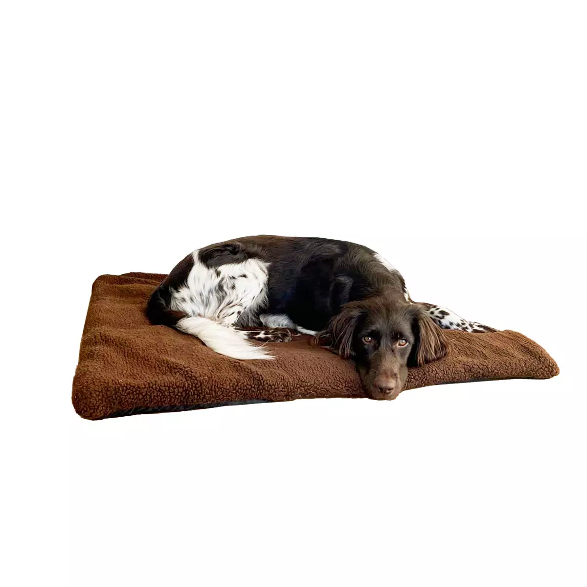 Blaser Manta para perros con forro polar, imagen 2 de 2