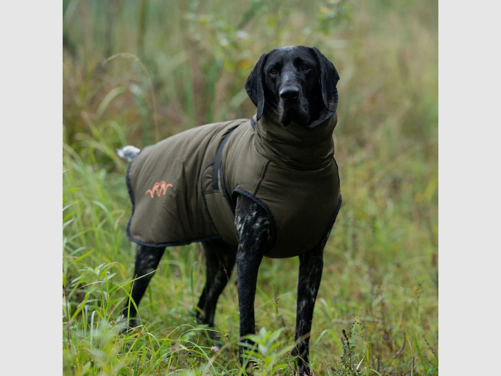 Blaser Hundeponcho Oliv-Grün