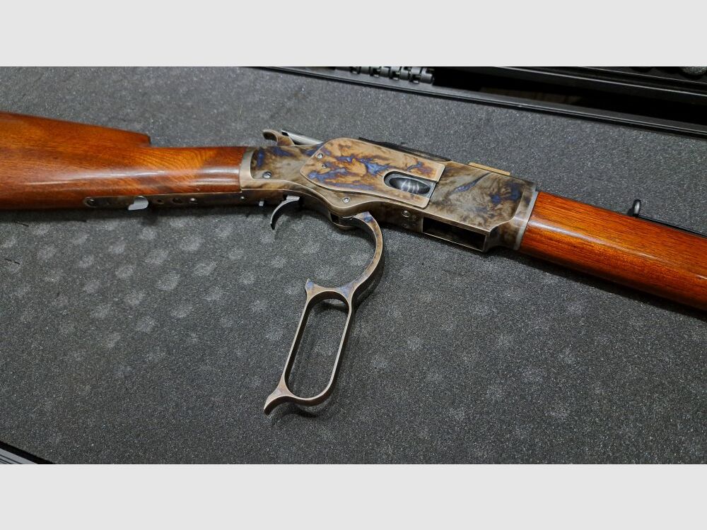 Hege-Uberti 1873