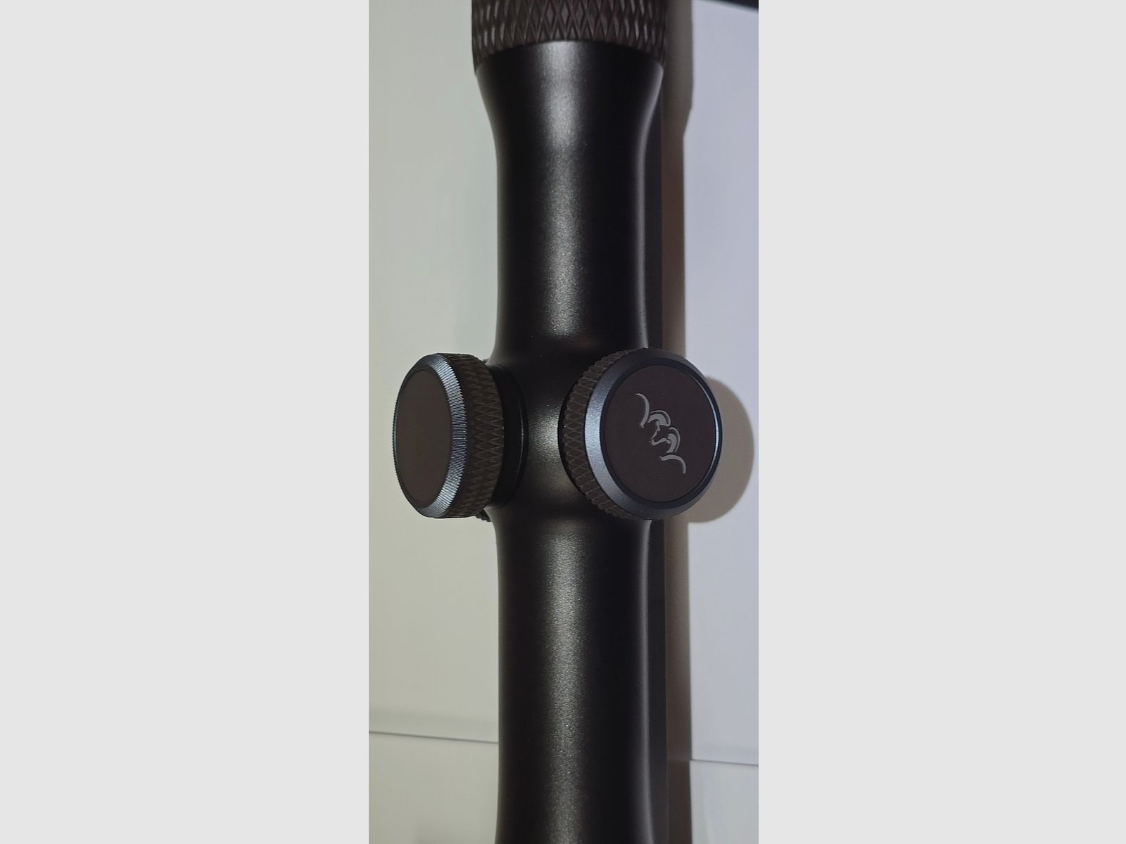 Optique cible Blaser B1 4-20x58 iC avec rail Zeiss