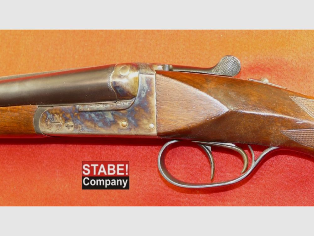 AYA Spanien Habicht-Pieper