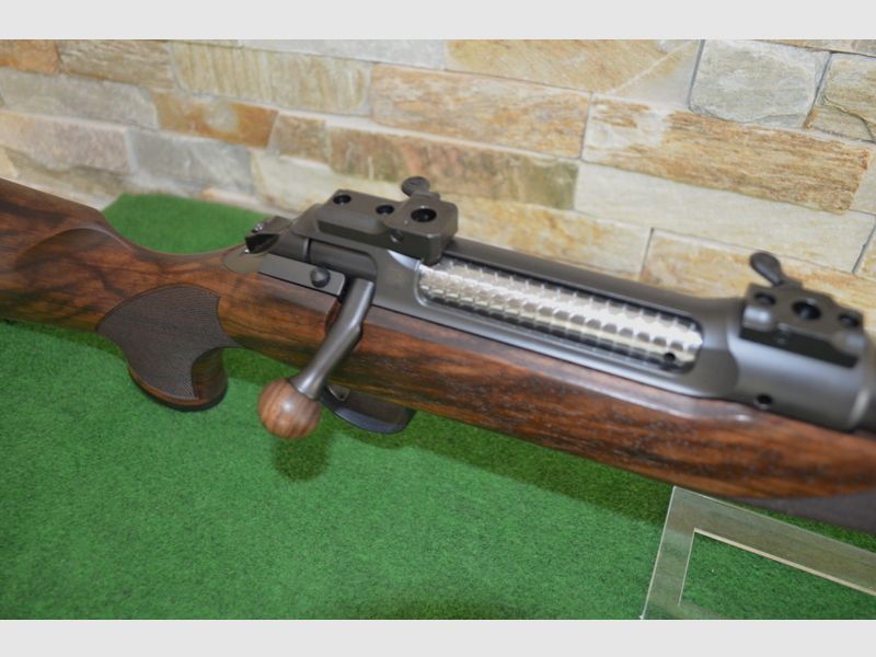 Sauer S 101 Artemis *