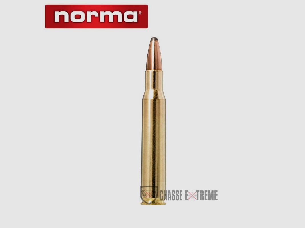 20 Munitions NORMA Ctg cal 30-06 Sprg 150gr Whitetail