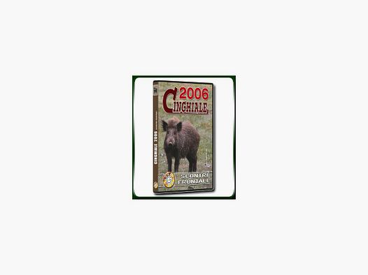 CINGHIALE 2006 SCONTRI FRONTALI