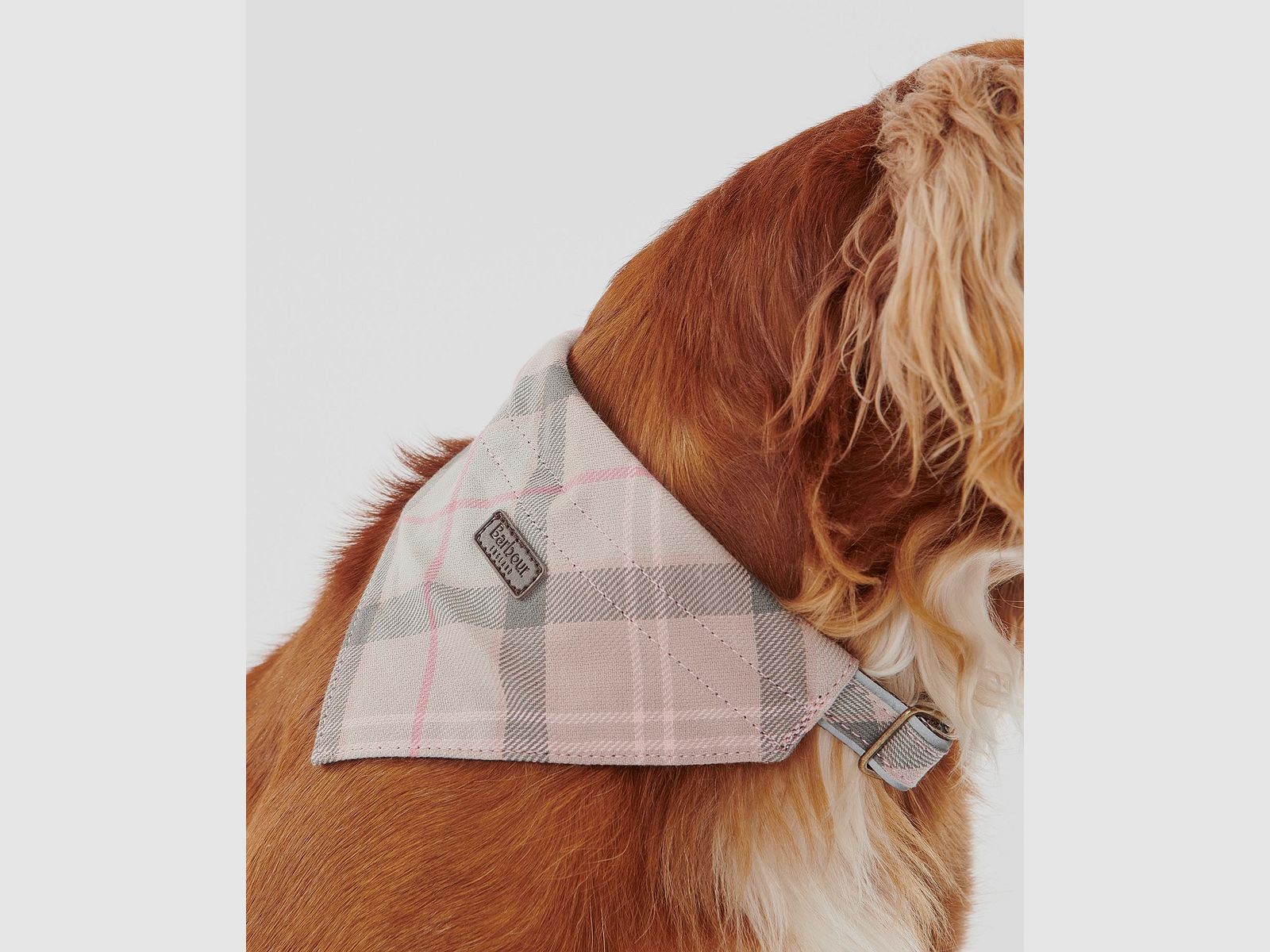 Barbour Tartan Bandana