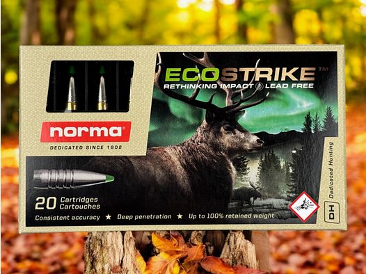 Norme de cartouche de chasse ECOSTRIKE Cal. .308 Win 10,7g 165grs