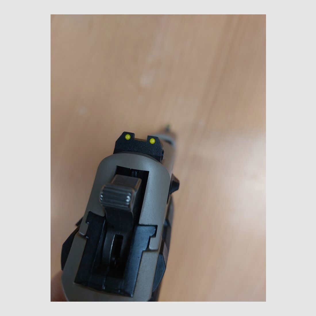 GSG (Sig-Sauer) Fire Fly