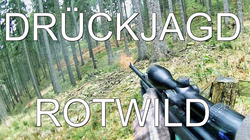 Drückjagd - Driven Hunt - Rotwild ohne Ende