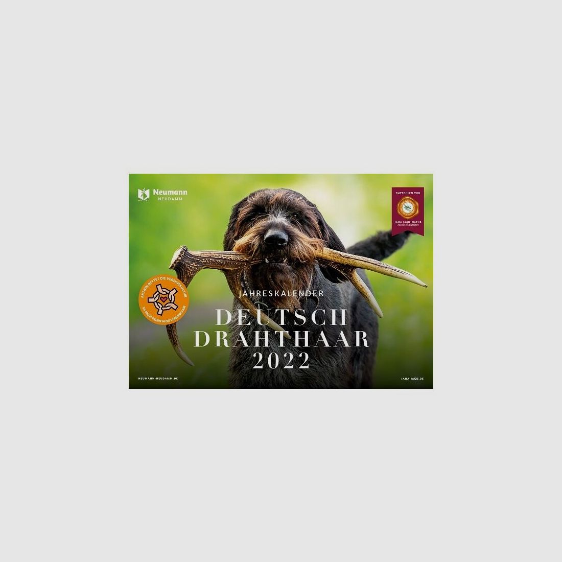 Kalender Deutsch Drahthaar 2022