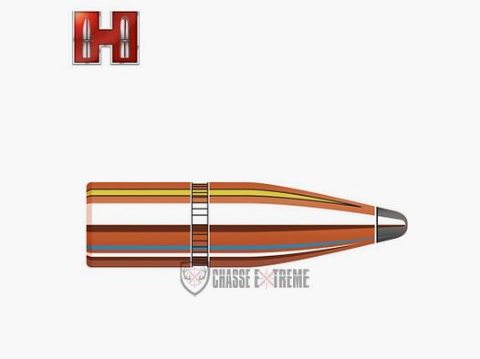 100 Ogives HORNADY 30 cal 308-165Gr InterLock Sp