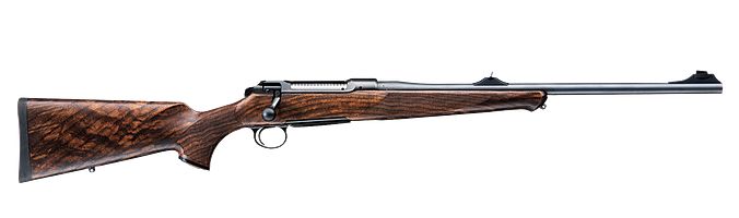 Sauer 101