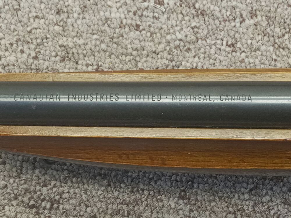 Anschütz 300