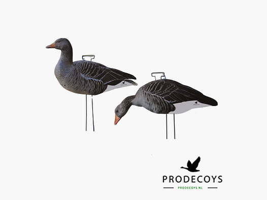 ProDecoys Grauwe Gans Silhouette Lokkers (set van 12 stuks)