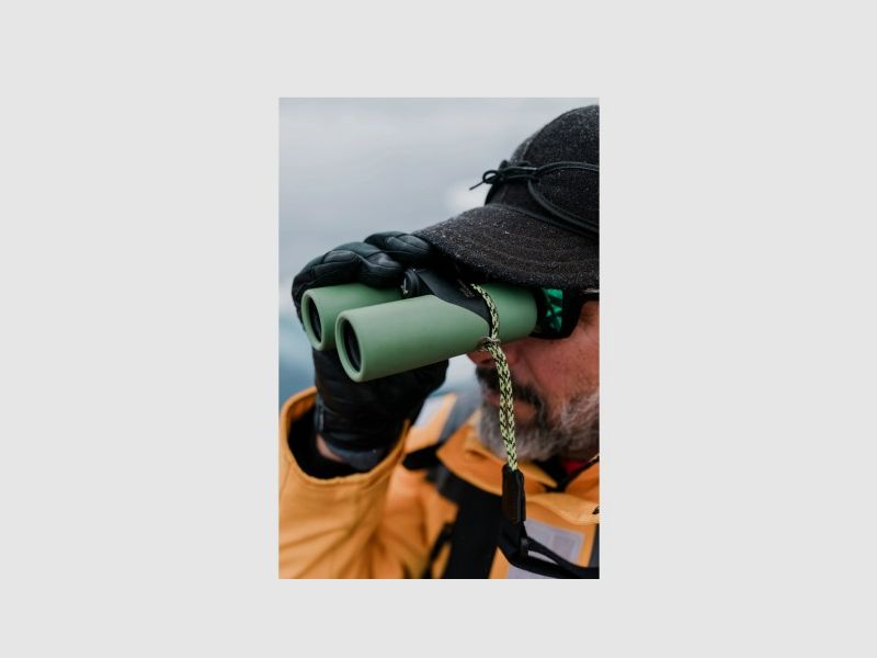 Swarovski Optik CL Companion 8x30 green, image 17 of 19