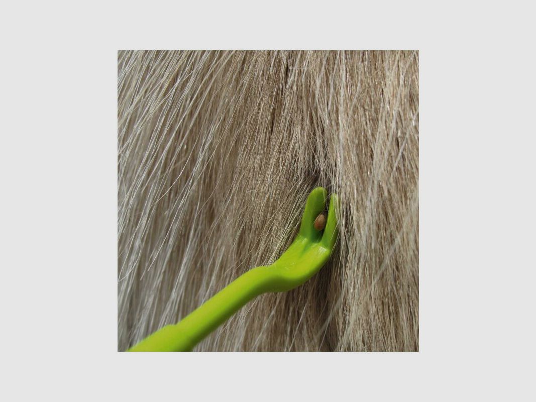 Hunter O-Tom Display Zeckenhaken