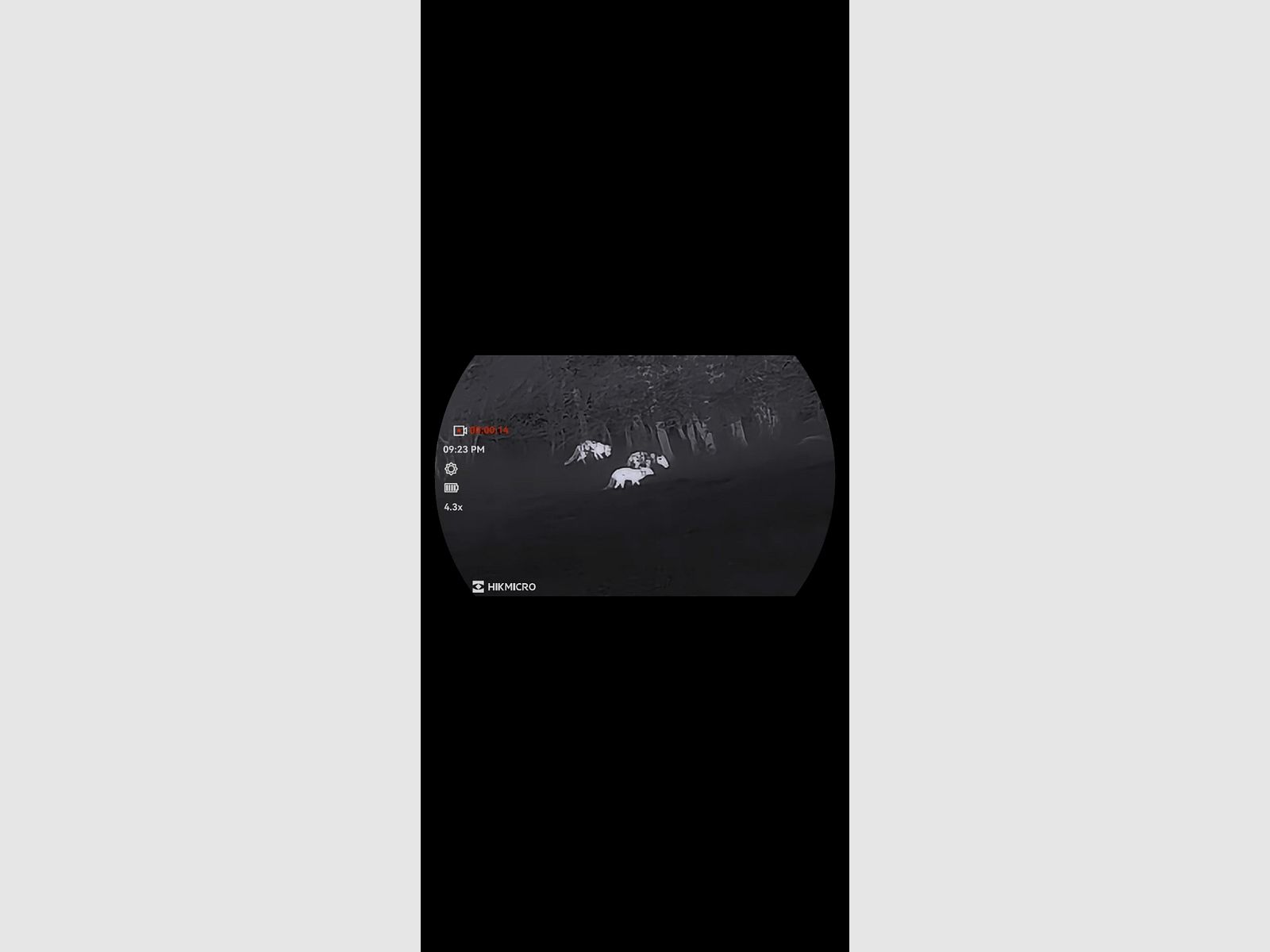 Hikmicro Habrok 4K HE25L 2.0 visor térmica, imagen 8 de 8