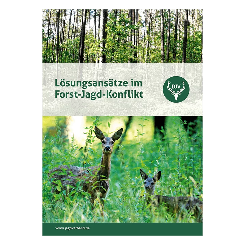 Brochure "Oplossingen in het Bos-Jachtconflict", afbeelding 1 van 2